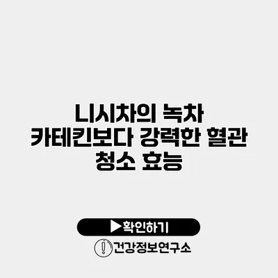 니시차의 녹차 카테킨보다 강력한 혈관 청소 효능