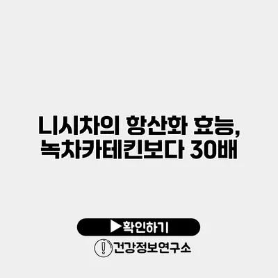 니시차의 항산화 효능, 녹차카테킨보다 30배