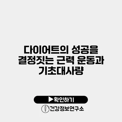 다이어트의 성공을 결정짓는 근력 운동과 기초대사량