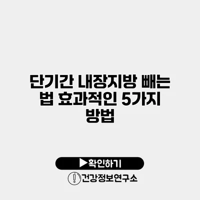 단기간 내장지방 빼는 법 효과적인 5가지 방법