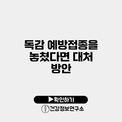 독감 예방접종을 놓쳤다면? 대처 방안