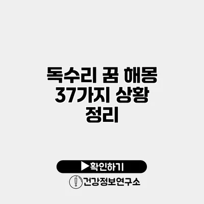독수리 꿈 해몽 37가지 상황 정리