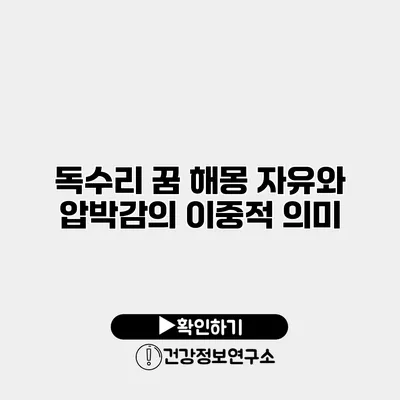 독수리 꿈 해몽 자유와 압박감의 이중적 의미