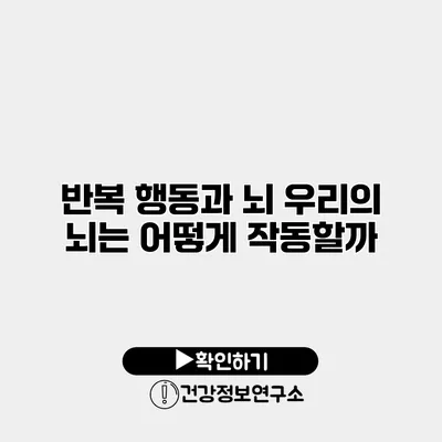 반복 행동과 뇌 우리의 뇌는 어떻게 작동할까?