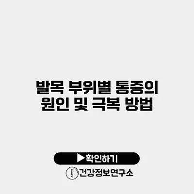 발목 부위별 통증의 원인 및 극복 방법