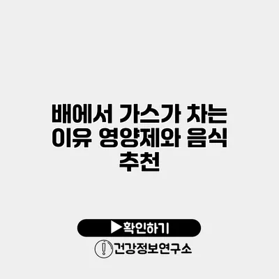 배에서 가스가 차는 이유 영양제와 음식 추천
