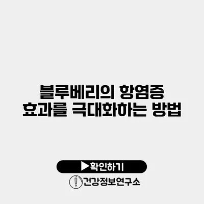 블루베리의 항염증 효과를 극대화하는 방법