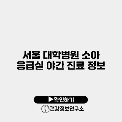 서울 대학병원 소아 응급실 야간 진료 정보