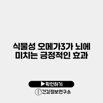 식물성 오메가3가 뇌에 미치는 긍정적인 효과