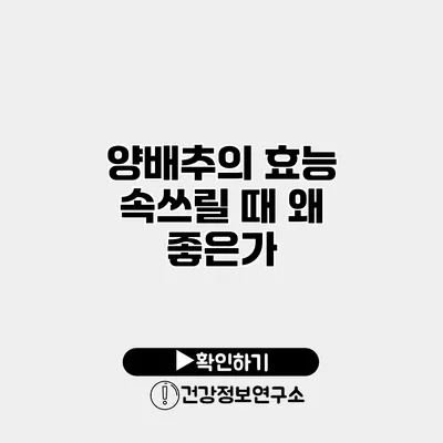 양배추의 효능 속쓰릴 때 왜 좋은가?