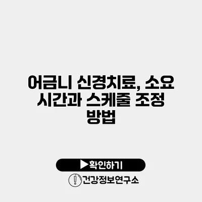 어금니 신경치료, 소요 시간과 스케줄 조정 방법