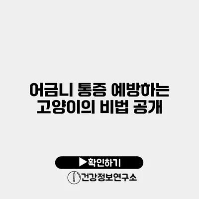 어금니 통증 예방하는 고양이의 비법 공개
