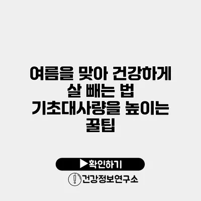 여름을 맞아 건강하게 살 빼는 법 기초대사량을 높이는 꿀팁