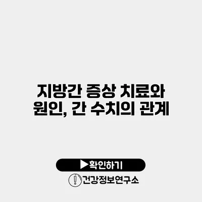 지방간 증상 치료와 원인, 간 수치의 관계