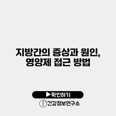 지방간의 증상과 원인, 영양제 접근 방법