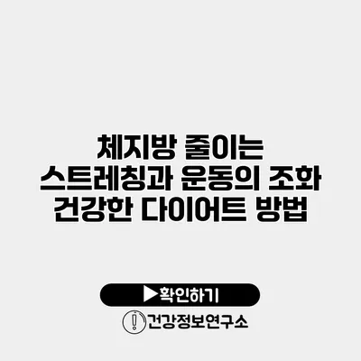 체지방 줄이는 스트레칭과 운동의 조화 건강한 다이어트 방법