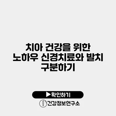 치아 건강을 위한 노하우 신경치료와 발치 구분하기