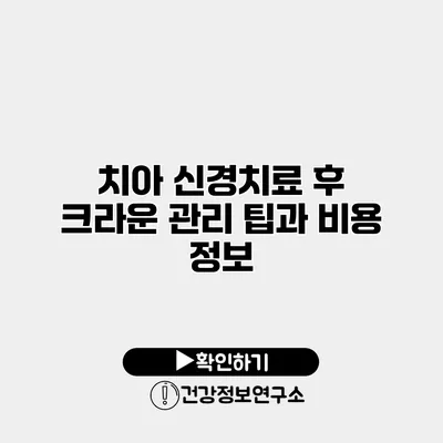 치아 신경치료 후 크라운 관리 팁과 비용 정보
