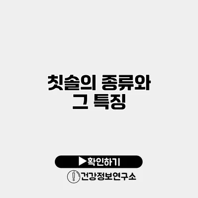 칫솔의 종류와 그 특징