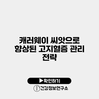 캐러웨이 씨앗으로 향상된 고지혈증 관리 전략