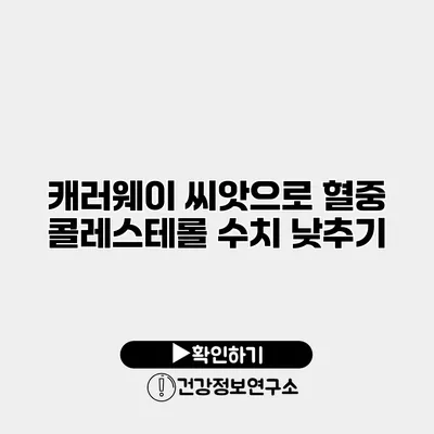 캐러웨이 씨앗으로 혈중 콜레스테롤 수치 낮추기