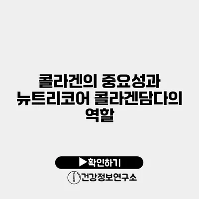 콜라겐의 중요성과 뉴트리코어 콜라겐담다의 역할
