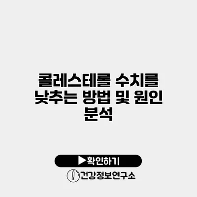 콜레스테롤 수치를 낮추는 방법 및 원인 분석