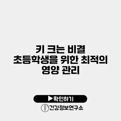 키 크는 비결 초등학생을 위한 최적의 영양 관리