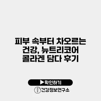 피부 속부터 차오르는 건강, 뉴트리코어 콜라겐 담다 후기