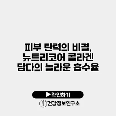 피부 탄력의 비결, 뉴트리코어 콜라겐 담다의 놀라운 흡수율