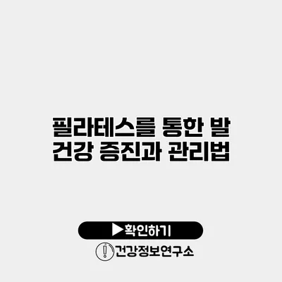 필라테스를 통한 발 건강 증진과 관리법