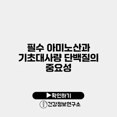 필수 아미노산과 기초대사량 단백질의 중요성