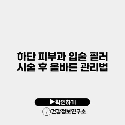 하단 피부과 입술 필러 시술 후 올바른 관리법