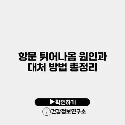 항문 튀어나옴 원인과 대처 방법 총정리