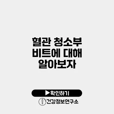 혈관 청소부 비트에 대해 알아보자