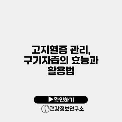 고지혈증 관리, 구기자즙의 효능과 활용법