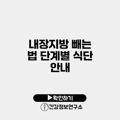 내장지방 빼는 법 단계별 식단 안내