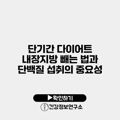 단기간 다이어트 내장지방 빼는 법과 단백질 섭취의 중요성