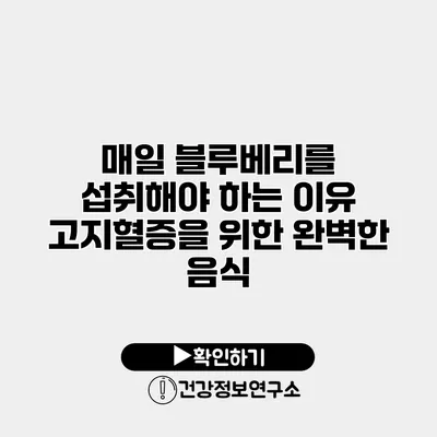 매일 블루베리를 섭취해야 하는 이유 고지혈증을 위한 완벽한 음식