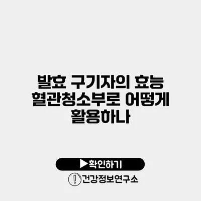 발효 구기자의 효능 혈관청소부로 어떻게 활용하나?