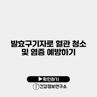발효구기자로 혈관 청소 및 염증 예방하기