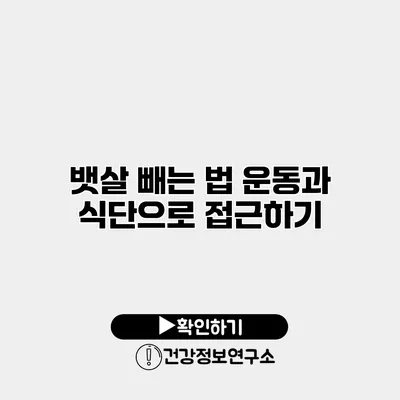 뱃살 빼는 법 운동과 식단으로 접근하기