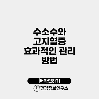 수소수와 고지혈증 효과적인 관리 방법