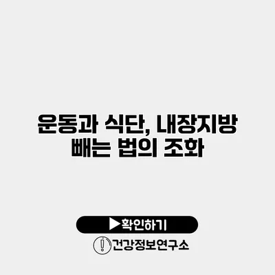운동과 식단, 내장지방 빼는 법의 조화