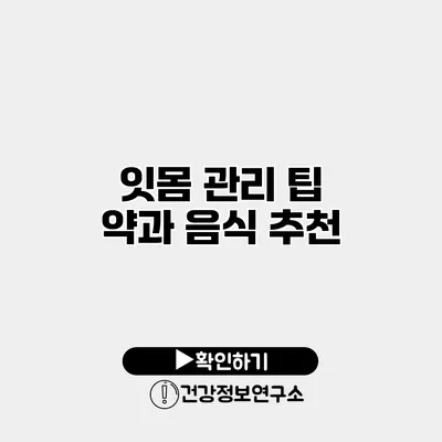 잇몸 관리 팁 약과 음식 추천