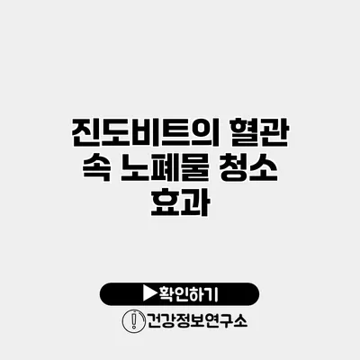 진도비트의 혈관 속 노폐물 청소 효과
