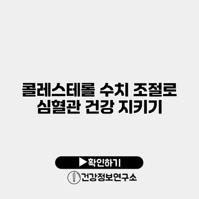 콜레스테롤 수치 조절로 심혈관 건강 지키기