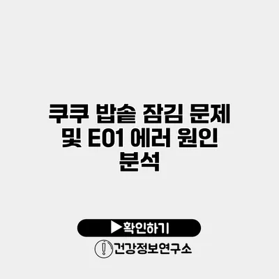 쿠쿠 밥솥 잠김 문제 및 E01 에러 원인 분석