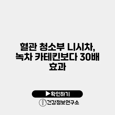 혈관 청소부 니시차, 녹차 카테킨보다 30배 효과