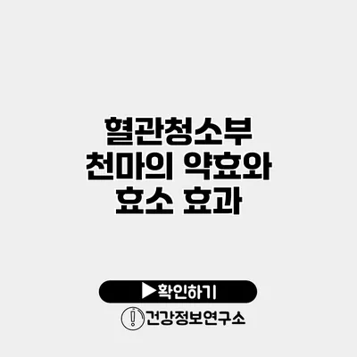 혈관청소부 천마의 약효와 효소 효과